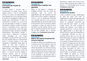greve flyer 2