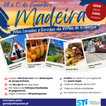 encontro madeira 2 5